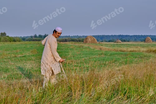 Preview: Elderly asian man in white traditional clothes mows hand-scythe grass in hayfield.
