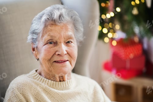 Preview: Senior Woman Smiling Portrait Near Christmas Tree