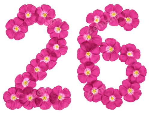 Preview: Arabic numeral 26, twenty six, from pink flowers of flax, isolated on white background