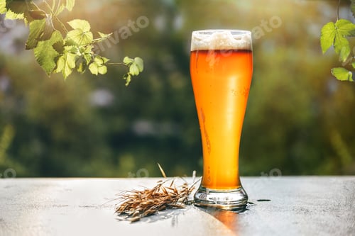 Preview: Fresh cold beer in a glass