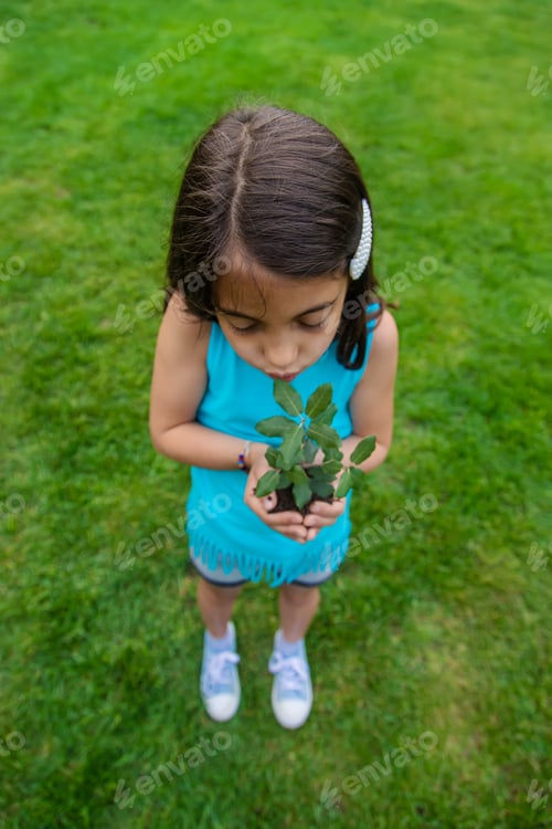 Preview: The child holds the plant and soil in his hands. Selective focus.