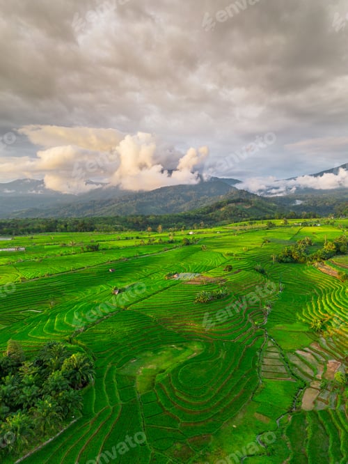 Preview: Beautiful morning view indonesia panorama landscape
