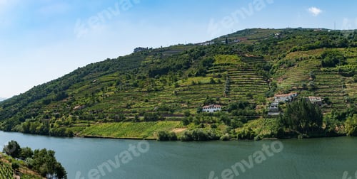 Preview: Point of view shot of terraced vineyards in Douro Valley