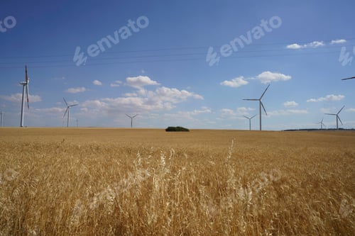 Preview: Rural landscape in Murge, Apulia, near Minervino