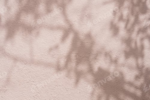 Preview: Brown wall background with shadow, light ,Studio shot with natural shadow leaf