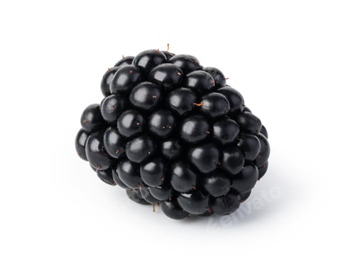 Close-up of Fresh Ripe Blackberry on White