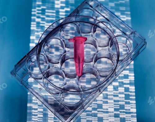 Preview: DNA sample inside vial on multi well plate, DNA gel showing results