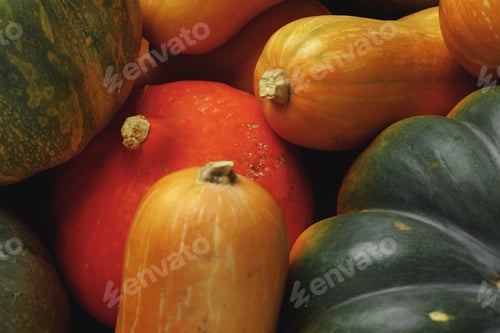 Preview: Many multicolor pumpkins, autumn seasonal decorative background