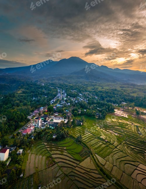 Preview: indonesia beauty landscape paddy fields in north bengkulu natural beautiful morning view from asia