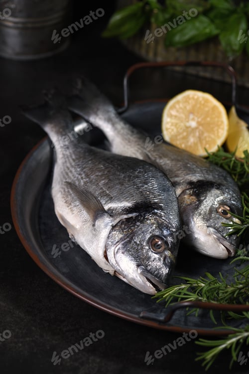 Preview: Fresh raw dorado fish on a tin plate