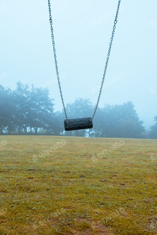 Preview: swing in a field in front of a forest.
