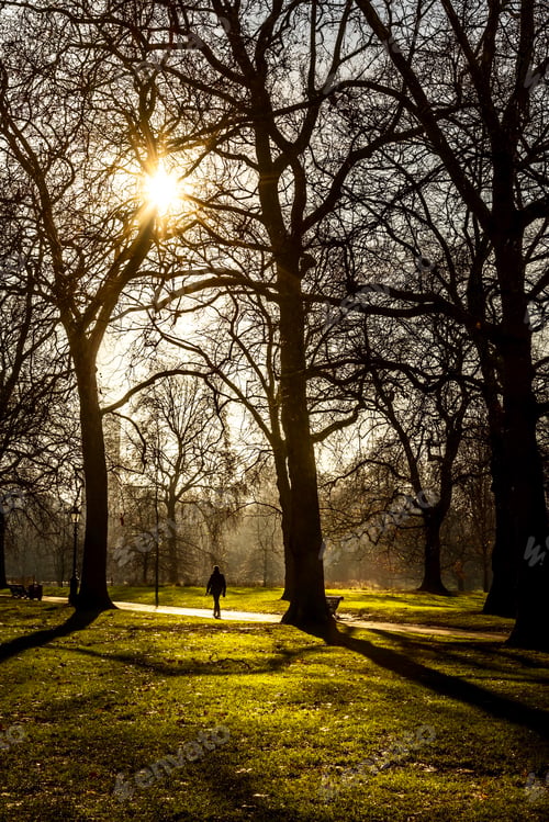 Preview: A beautiful walk through Green Park to Buckingham Palace.