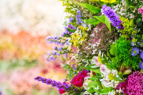 Preview: Colorful flowers