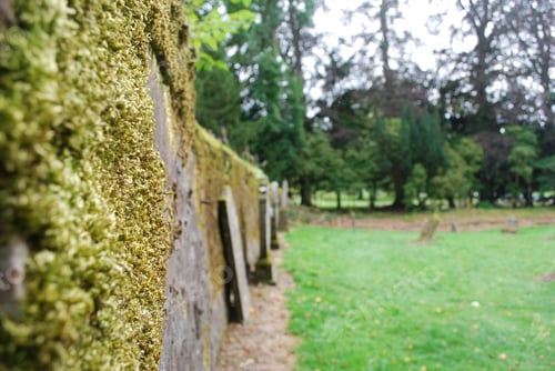 Preview: Graveyard wall