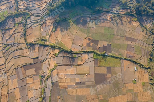 Preview: Empty rice field after the completion of harvesting rice.