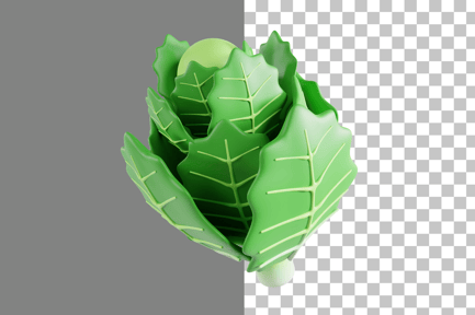 Preview: Chinese Cabbage 3D Icon