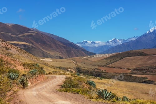 Preview: Fields in Peru