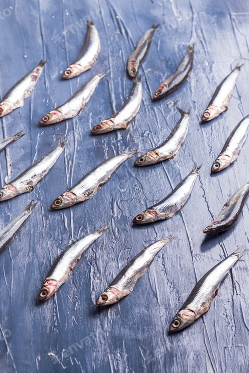 Preview: Fish pattern. Fresh anchovies on blue