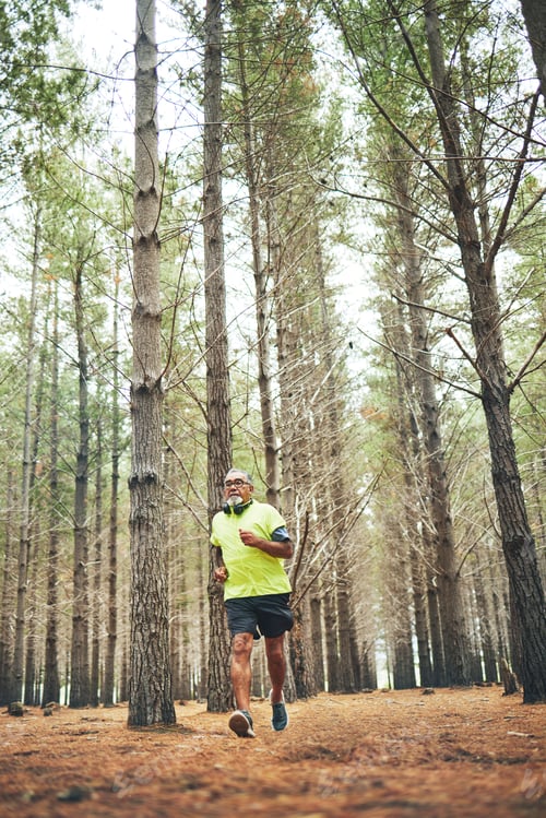 Preview: Hiking, walking or senior man in forest, nature or wilderness for trekking journey or adventure for