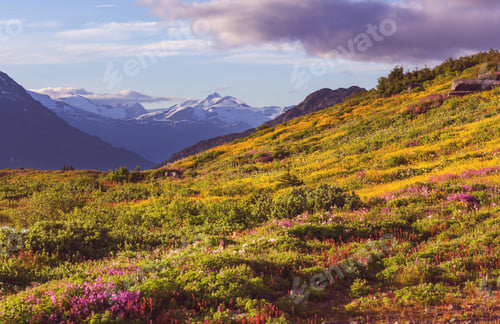 Preview: Mountains in Canada
