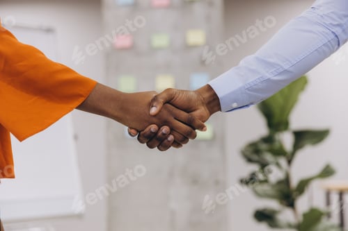 Preview: Two african american professionals shaking hands in a modern office, representing successful