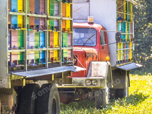 Preview: Mobile beehive on trucks
