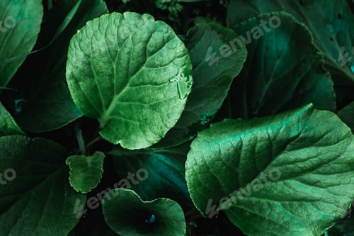 Preview: Beautiful nature!
