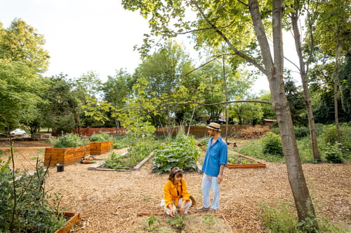 Preview: Farmers at home vegetable garden
