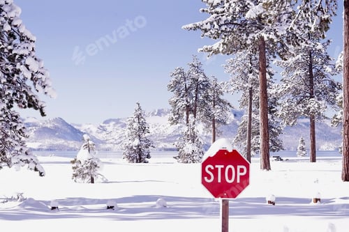 Preview: Red stop sign in the forest in winter