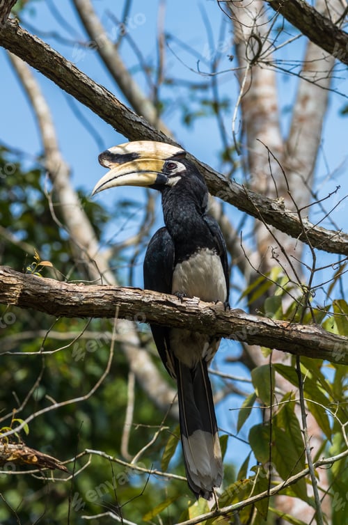 Preview: Imgp7281 001