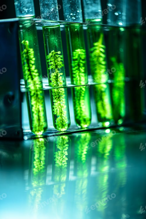 Preview: The scientist test the natural product extract, oil and biofuel solution