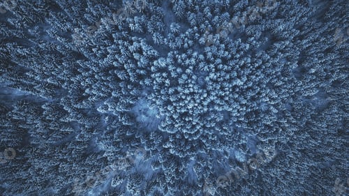 Preview: Aerial Drone View: Holidays in Ski Resort Bukovel