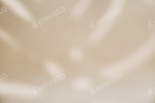 Visualização: Sombra de folha de palmeira em fundo pastel