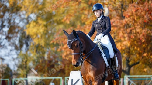 Preview: Teenage girl riding horse on equestrian dressage test in autumn