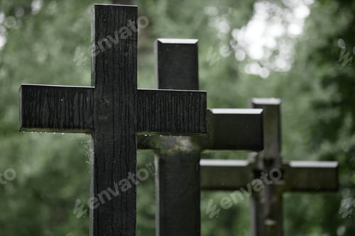 Preview: Granite Memorial Crosses Standing in Row at Cemetery