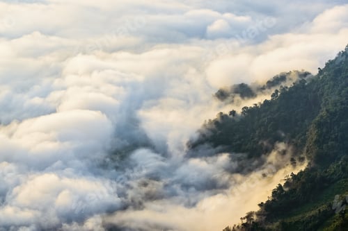 Preview: Valley cloud and fog