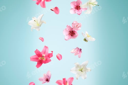 Preview: Beautiful flowers and petals falling against light blue background