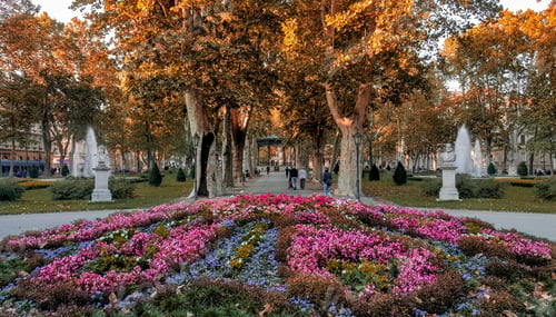 Preview: Beautiful flowers on flower bed in park in city of Zagreb in Croatia.