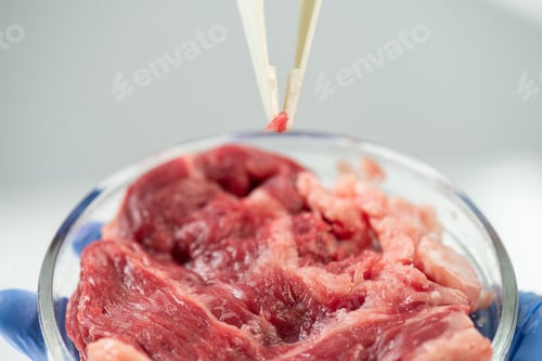 Preview: Gloved hands of scientific researcher holding petri dish with raw vegetable meat