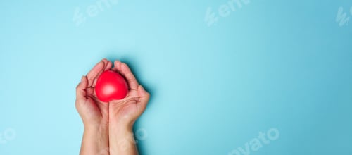 Preview: Female hands holds red heart, blue background. Love and donation concept