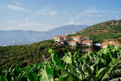 Preview: Landscape - View on city, sea coastline and banana plantations in Turkey