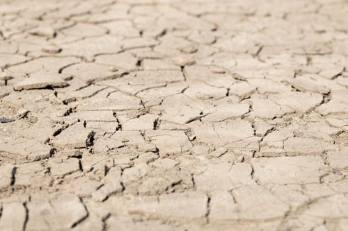 Preview: Cracked Dry Earth in Parched Desert Landscape