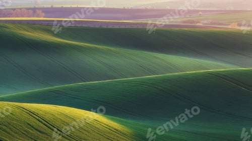 Preview: Green fields in the evening in South Moravia