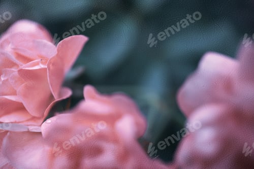 Preview: Sweet Pink Roses In Vintage Style On Mulberry Paper Texture For Romantic And Loving Concept