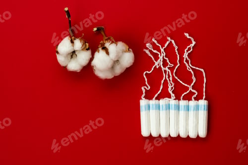 Preview: Women's health care, cotton tampon, intimate hygiene, gynecological menstruation cycle.
