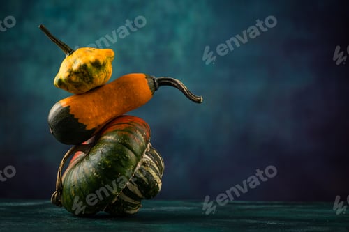 Preview: Various decorative pumpkin on green background