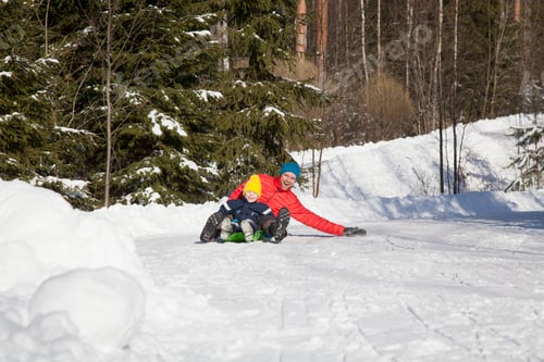 Preview: Man and son tobogganing in snow covered forest