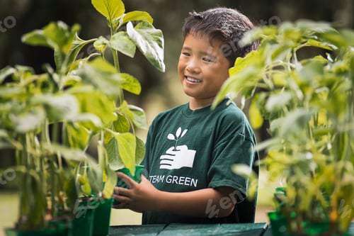 Preview: A boy with young plants in a plant nursery.
