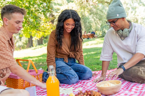 Preview: Multicultural Group of friends enjoying picnic and playing dominoes in a park