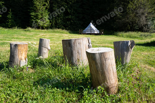 Preview: sitting wooden logs trunk in green grass outdoor meadow